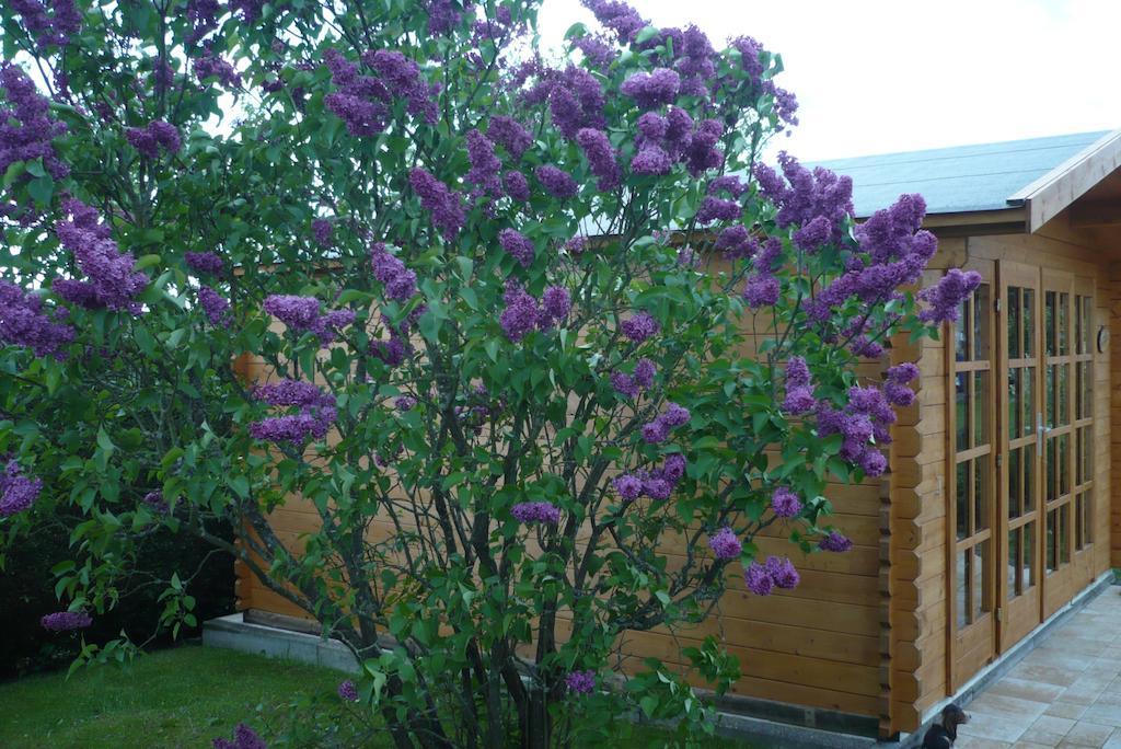 Pension-Jakobs Nachtsheim ภายนอก รูปภาพ