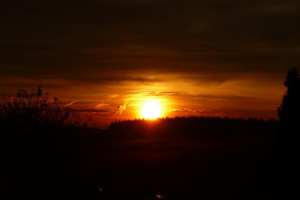 Pension-Jakobs Nachtsheim ภายนอก รูปภาพ